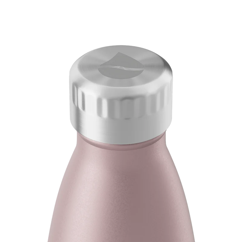 FLSK Trinkflasche aus Edelstahl