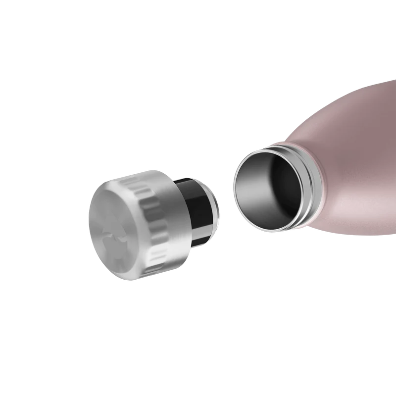 FLSK Trinkflasche aus Edelstahl