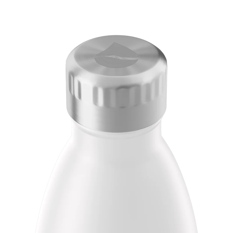 FLSK Trinkflasche aus Edelstahl