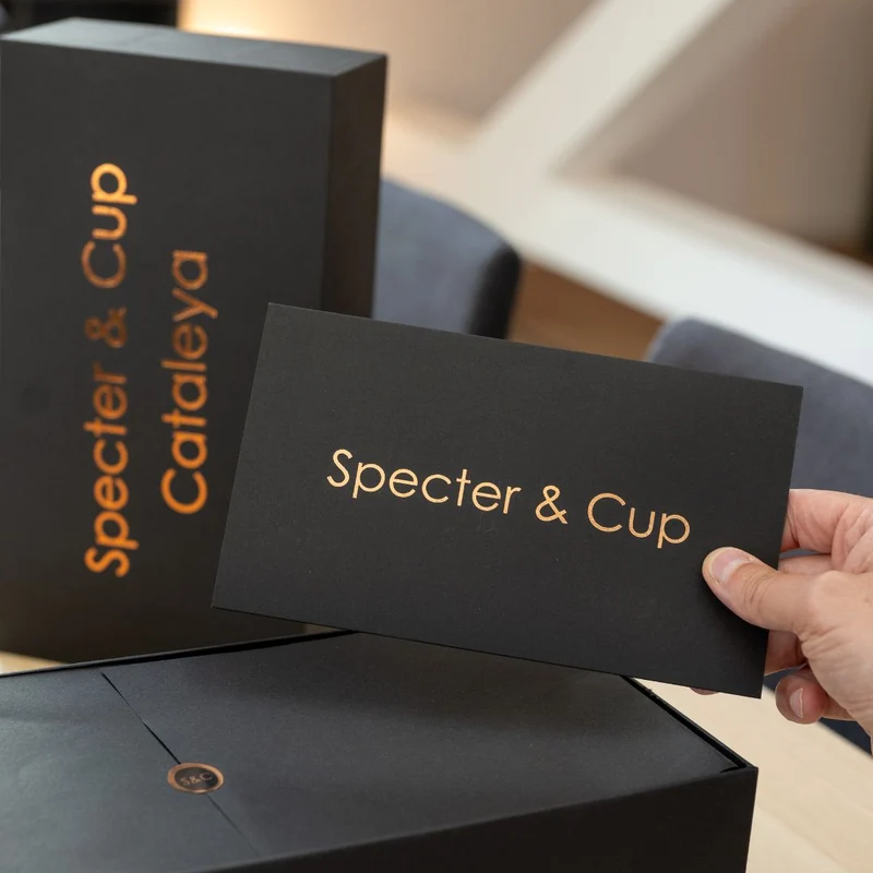 Kupferbecher-Set Cataleya – 2x Cocktailbecher (gehämmert, 400 ml)