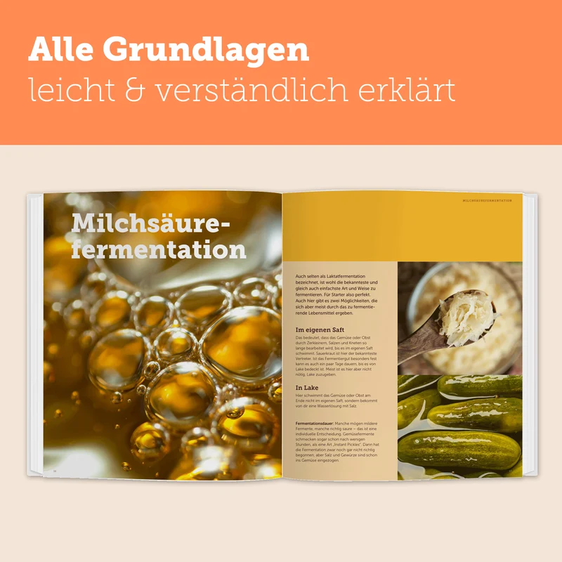 Natürlich Fermentieren | Anleitungen und kreative Rezepte für Gemüse, Obst, Limonaden, Bier und Sauerteig