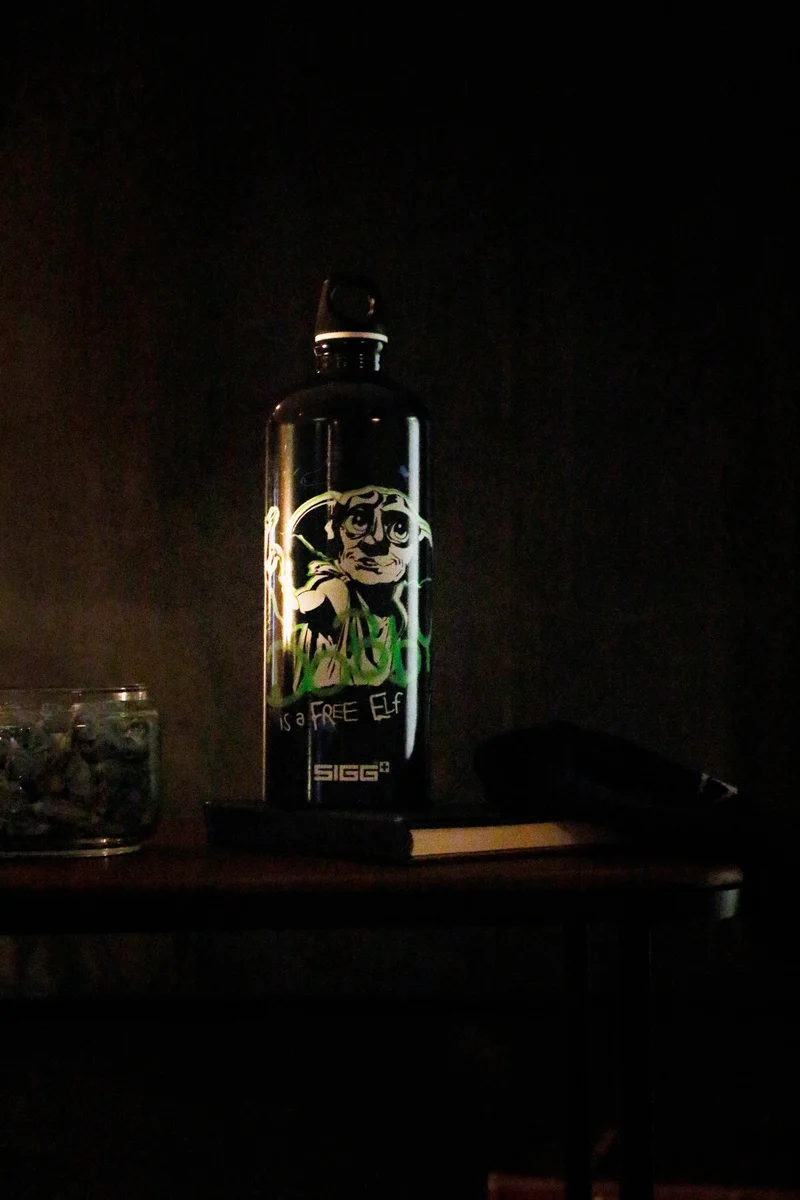 Traveller Harry Potter