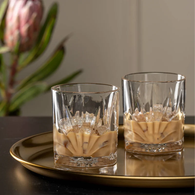 Whiskybecher DOF CAPRI 330 ml 2er-Set mit 8 Kühlsteinen