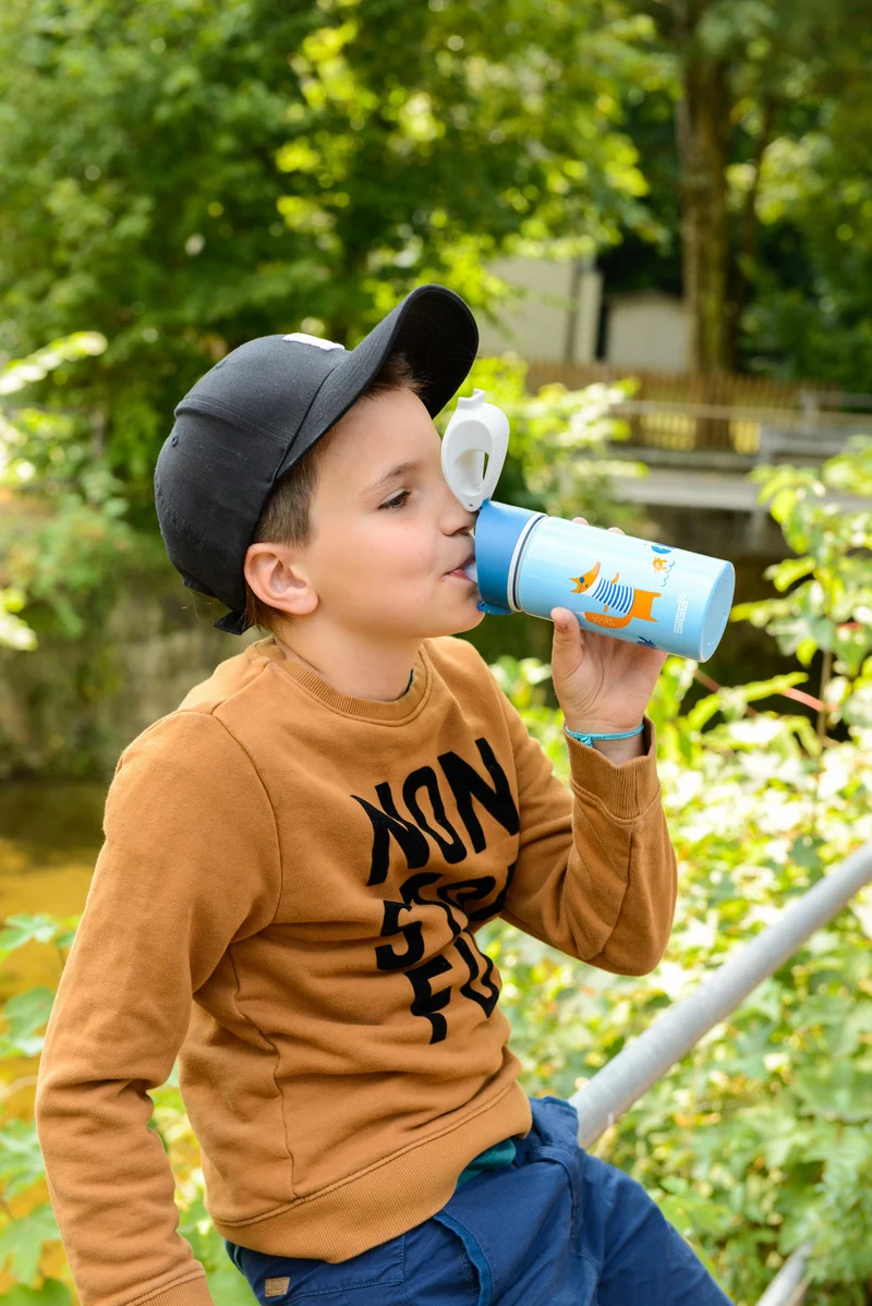 Miracle Kids Alu Animals