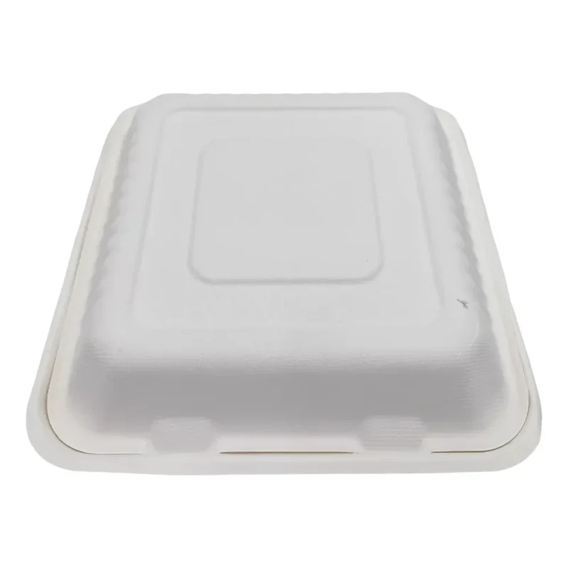 Menüboxen (klein), Bagasse, 205x205x65mm, natur