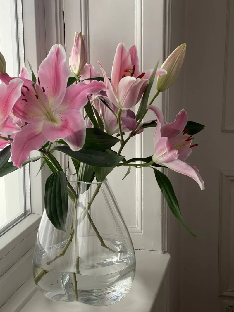 Tulip Vase, clear