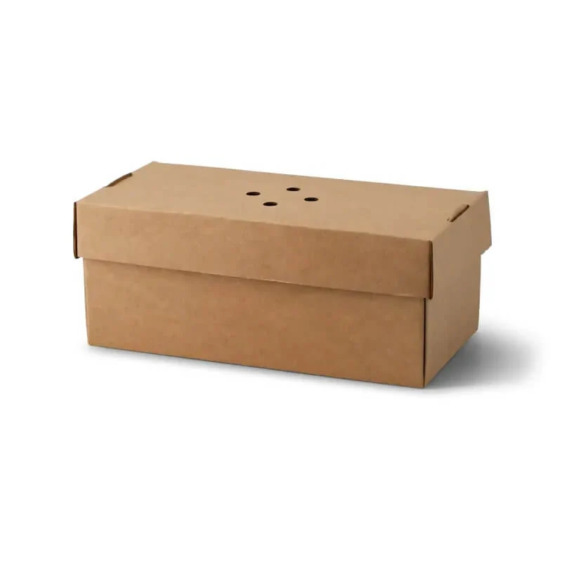 100x Burgerbox doppelt faltbar Kraftkarton braun 24,4 x 12,2 x 10,2cm