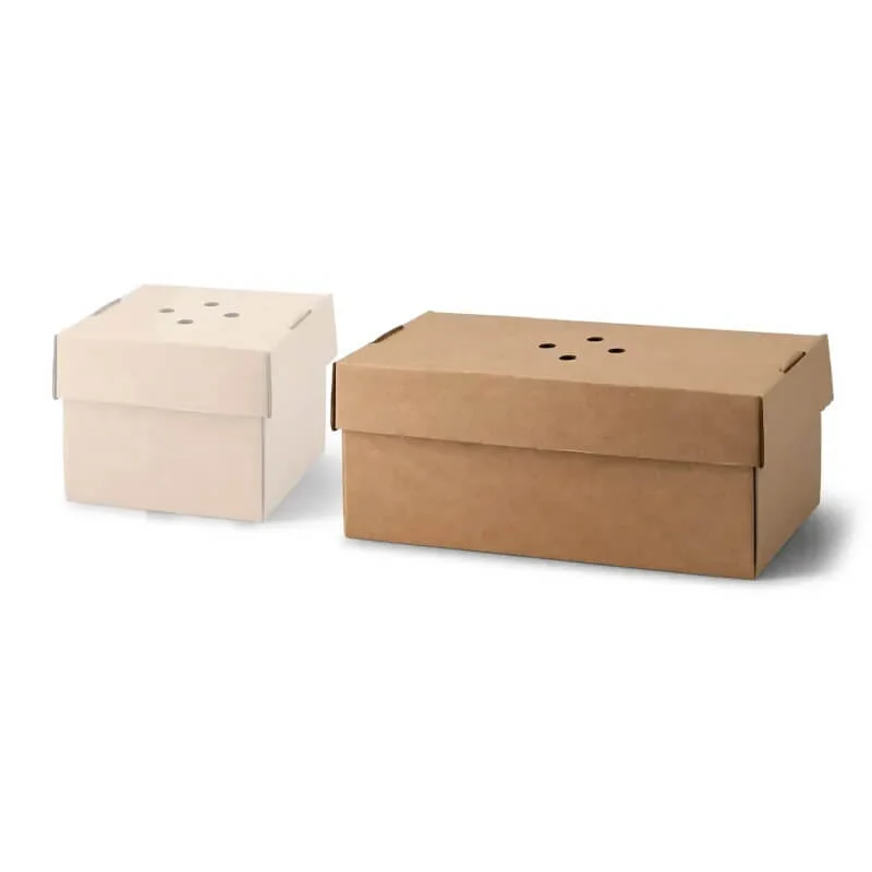 100x Burgerbox doppelt faltbar Kraftkarton braun 24,4 x 12,2 x 10,2cm