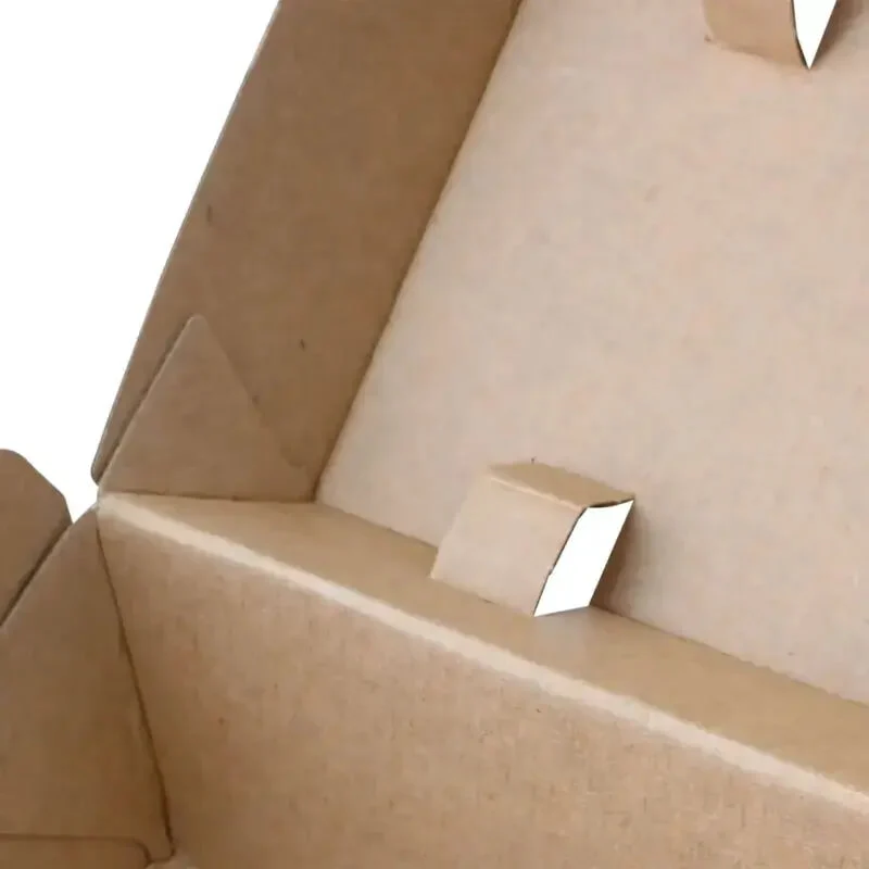 200x Box mit Klappdeckel Kraftkarton braun 24,8 x 13 x 7,5cm