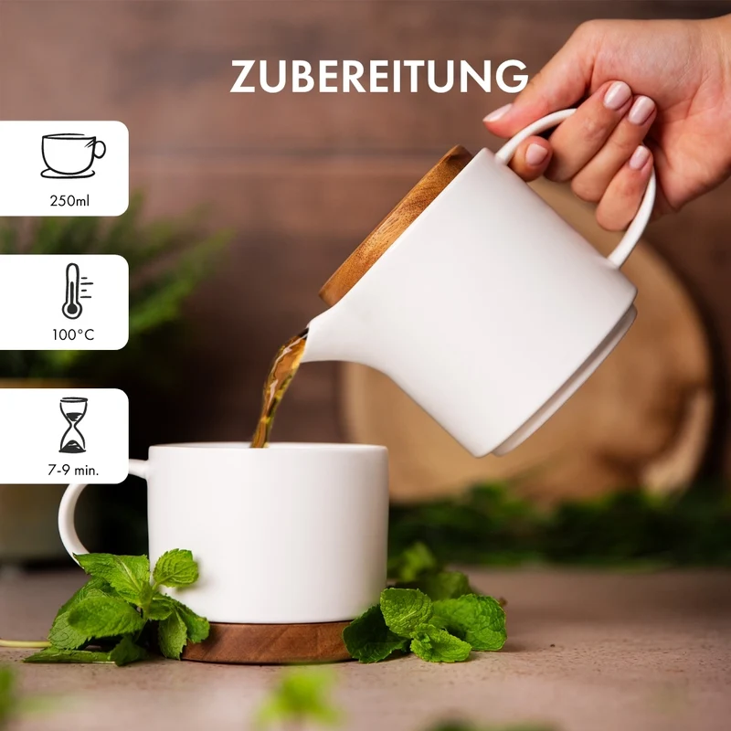 Großes Tee Probier Paket