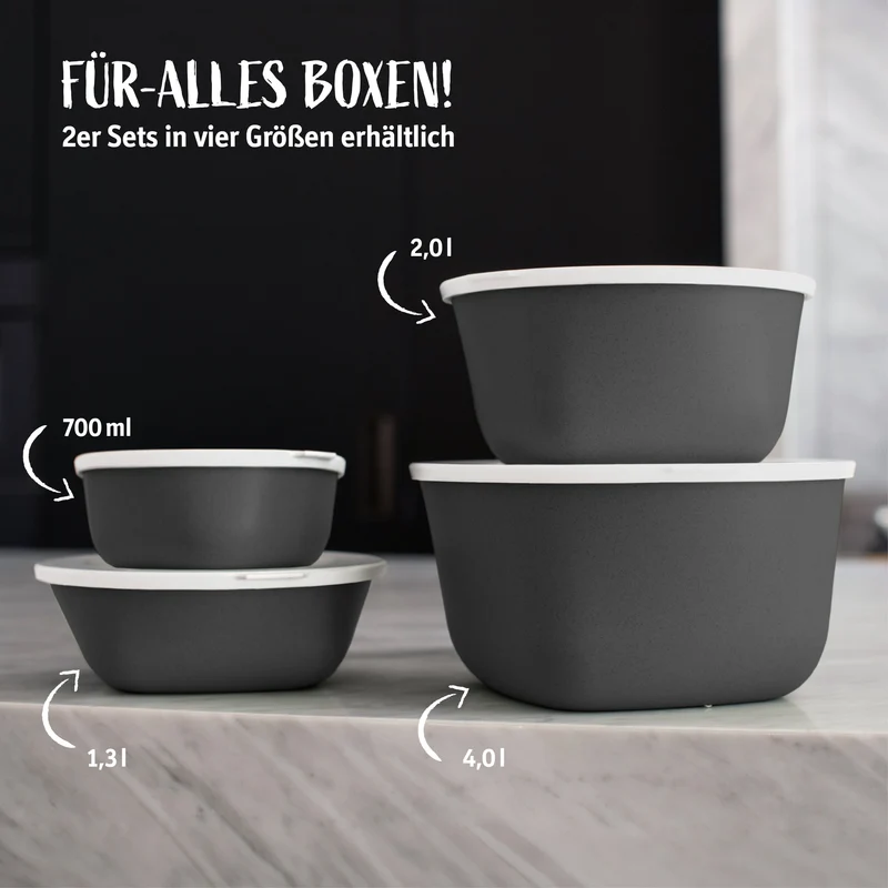 2er Set Box mit transparentem Deckel CONNECT BOX 2