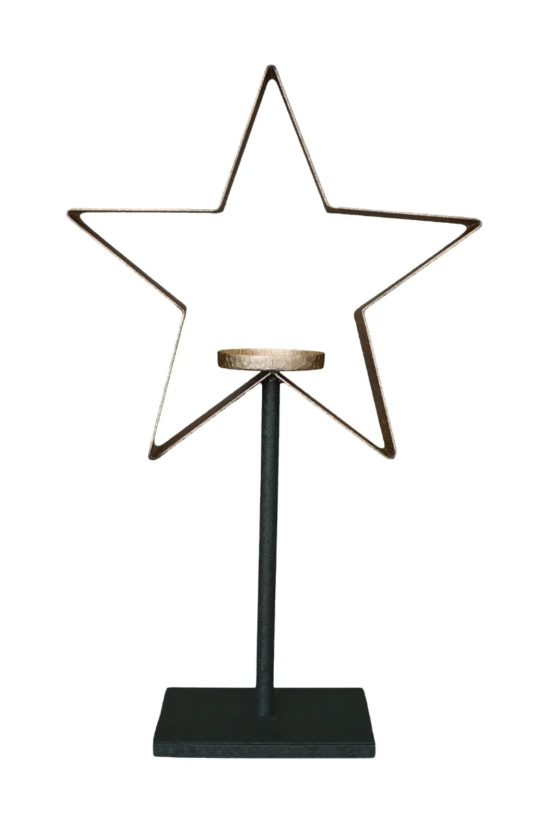 Exner Stern Dazz 46cm (1 Stück)