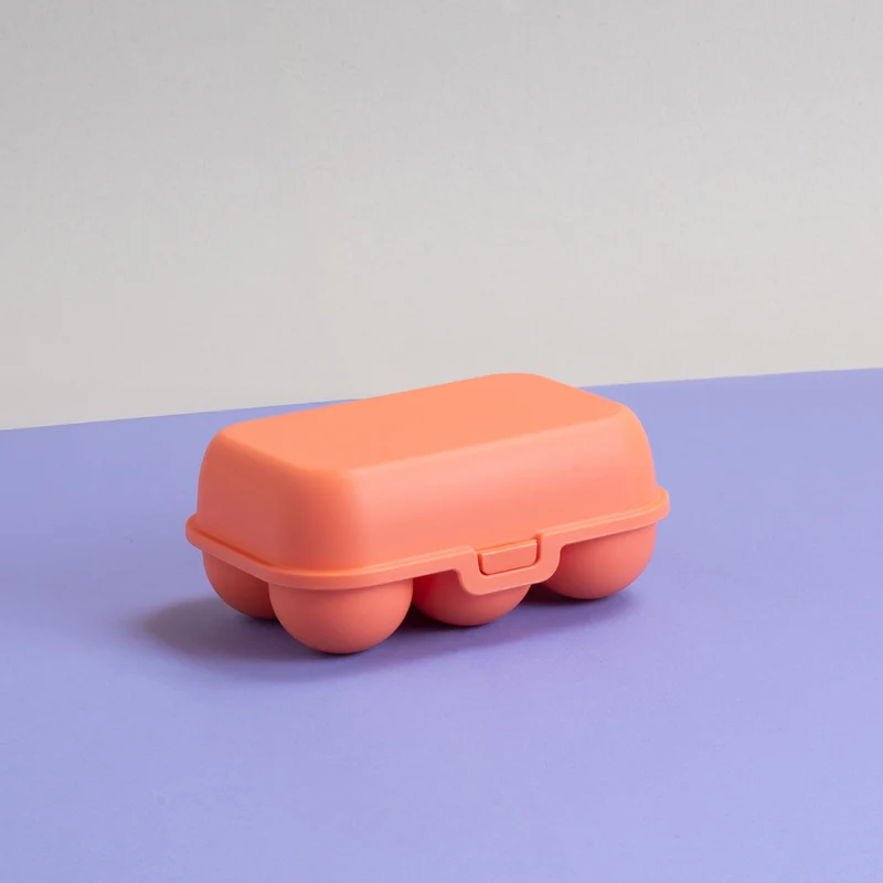 Eierbox EGGS TO GO MINI