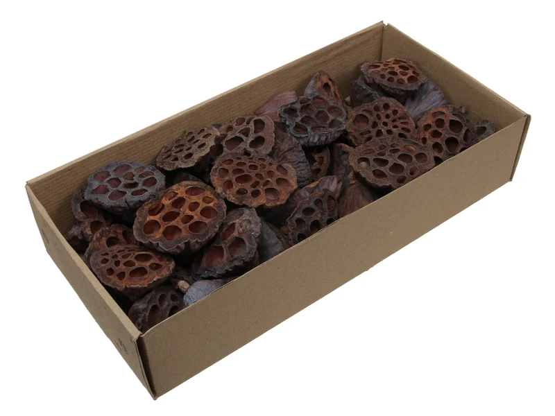 Lotus BULK Lotus 3-5cm naturel 2000st