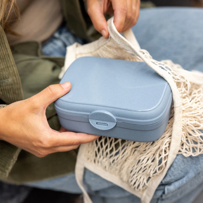 Lunchbox mit Trennsteg ARENA
