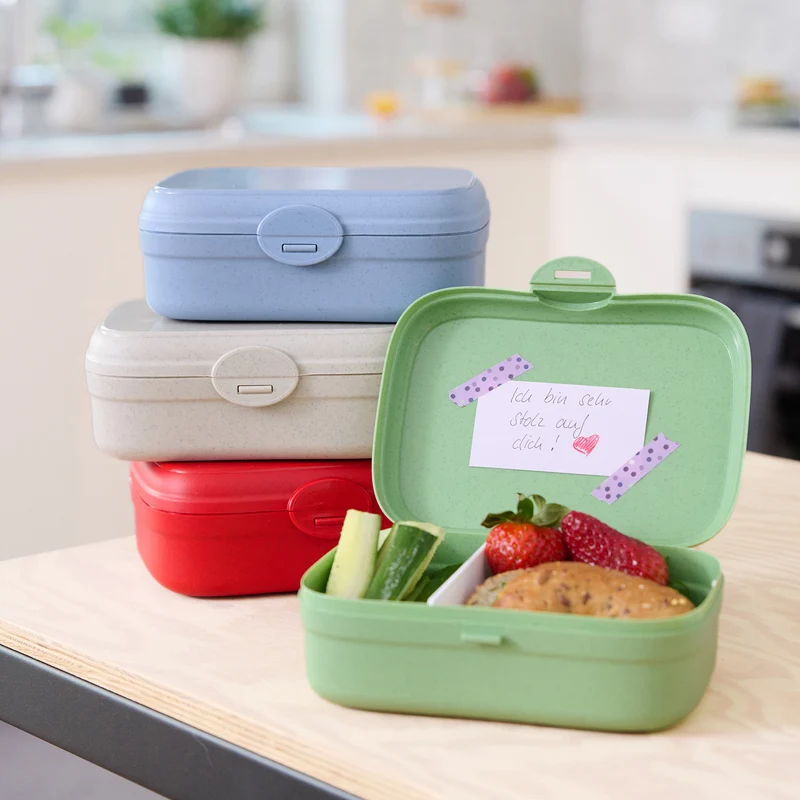 Lunchbox mit Trennsteg ARENA