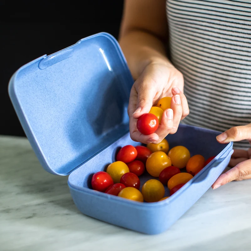 Lunchbox CANDY L