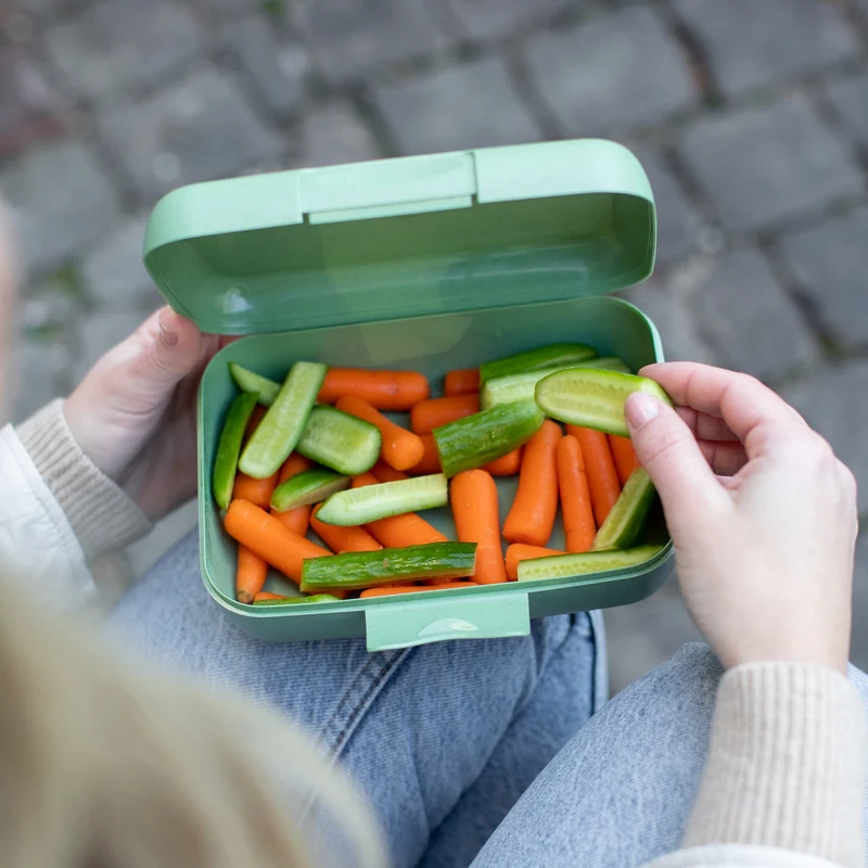 Lunchbox CANDY L