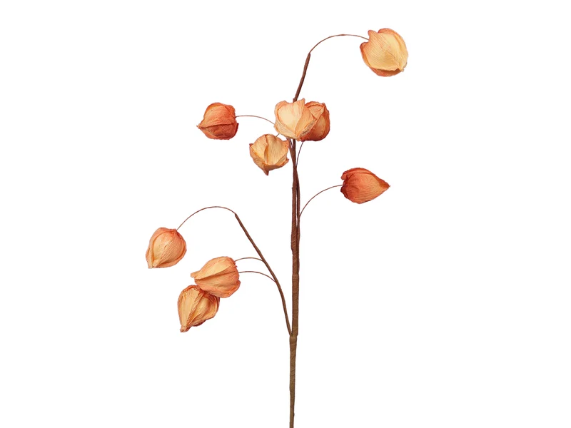Physalis-Spray (9) orange 70 cm