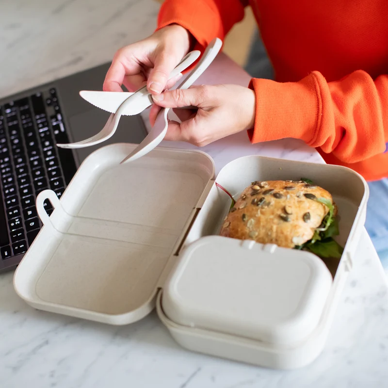 Lunchbox PASCAL L