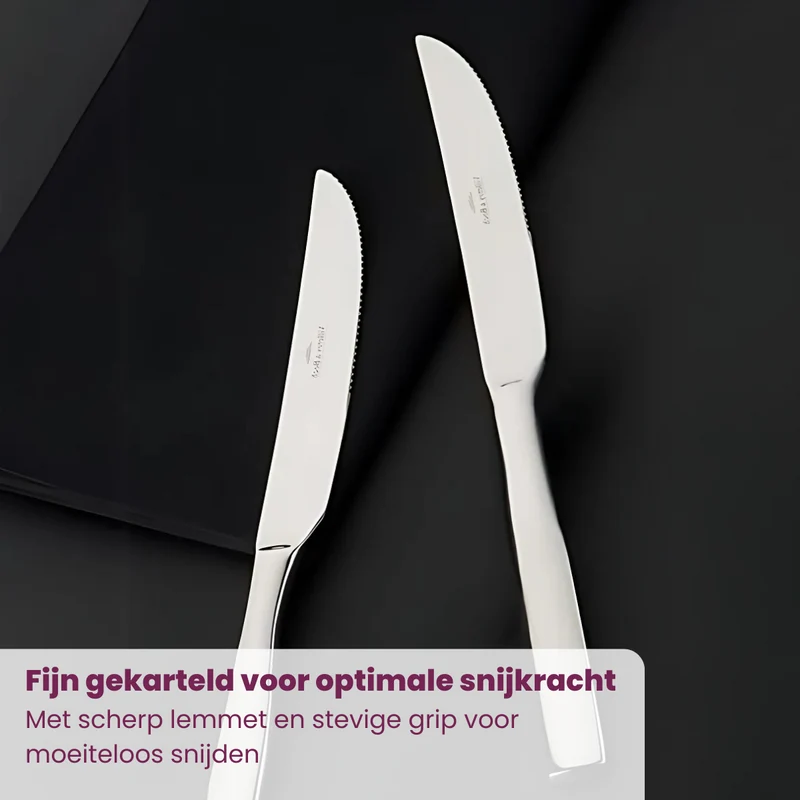 Villeroy & Boch Steakmesser-Set Piemont - 6-teilig