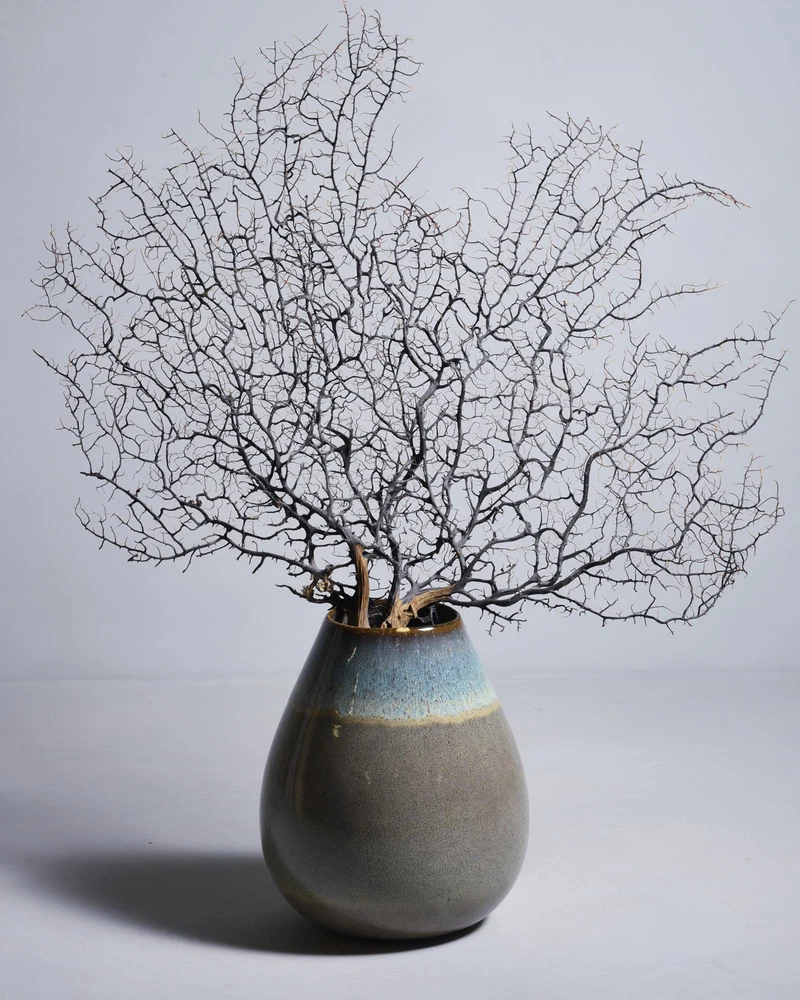 Madeira Vase M grünblau