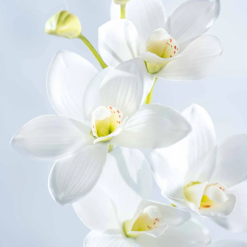 Orchidee FIORE 76 cm weiß