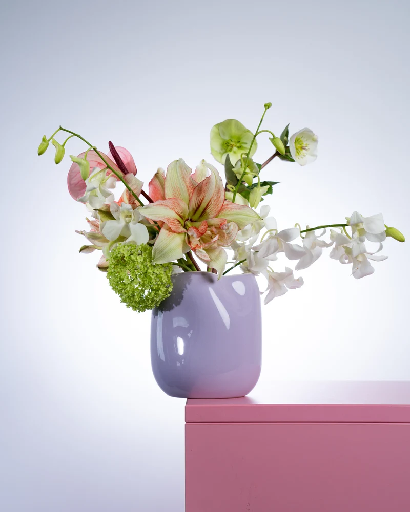 João Vase M lila rosa