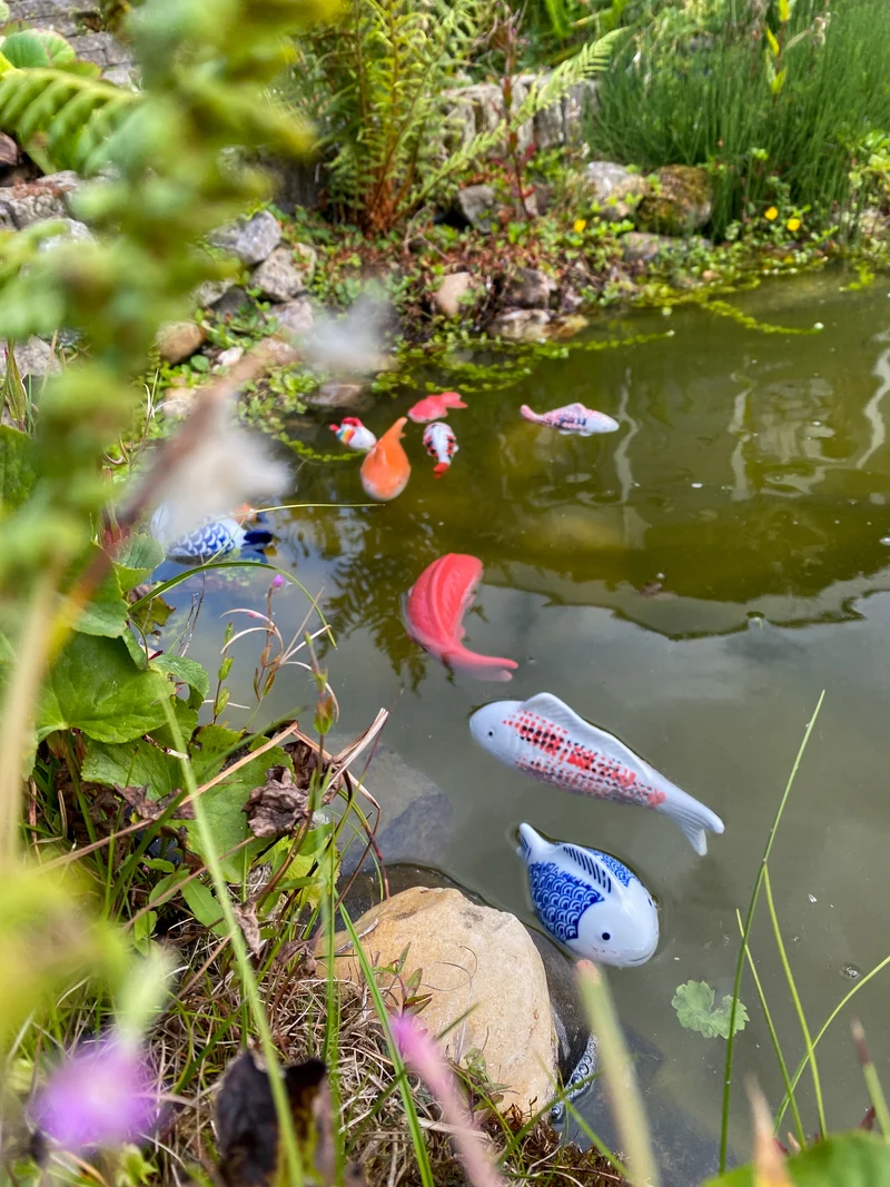 Fisch Porzellan 3 Farben sortiert L7-W5-H3cm