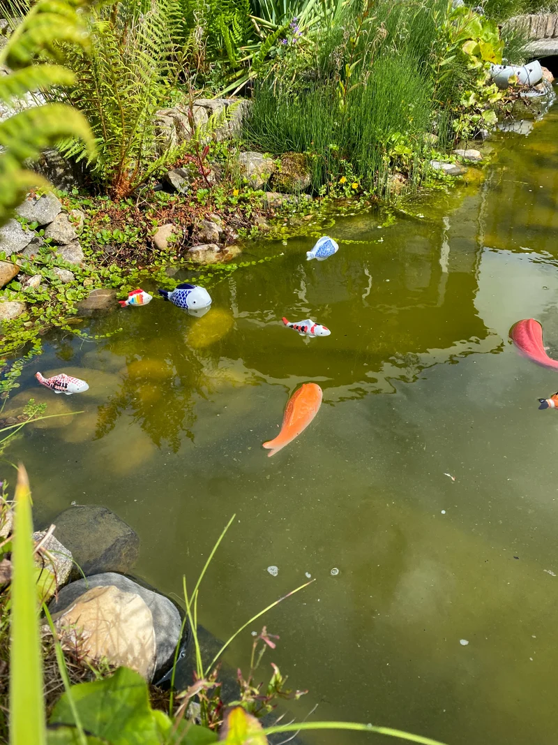 Fisch Porzellan 3 Farben sortiert L7-W5-H3cm
