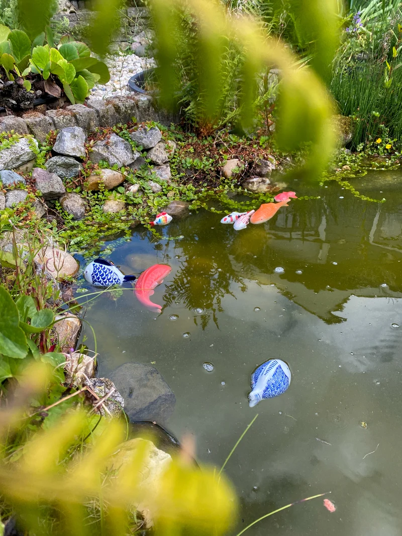 Fisch Porzellan 3 Farben sortiert L7-W5-H3cm