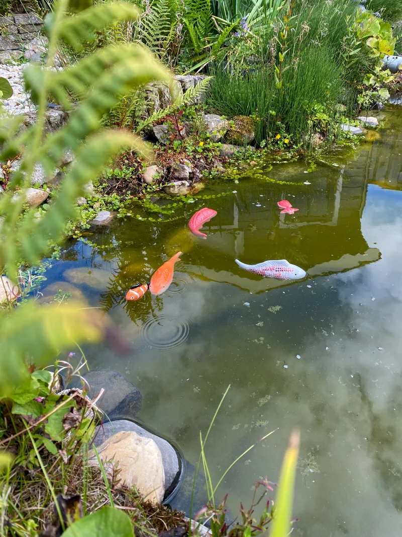 Fisch Porzellan 3 Farben sortiert L7-W5-H3cm