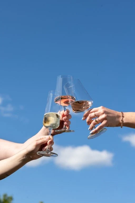 Schott Zwiesel Weiße Weingläser MioVino - 380 ml - 4 Stück