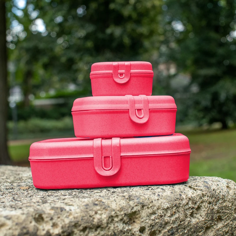 Lunchbox PASCAL L