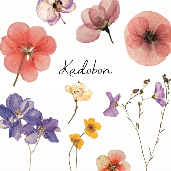 Packung mit 12 Geschenkgutscheinen mit Feldblumen