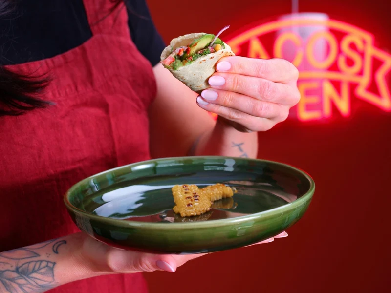 ASA poké Fusion Plate guacamole 22cm