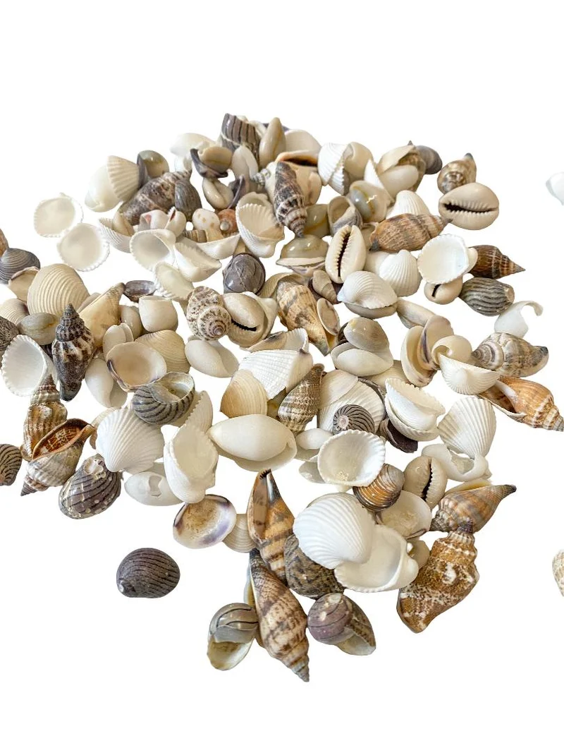 Shell mix ''Small'' 1KG
