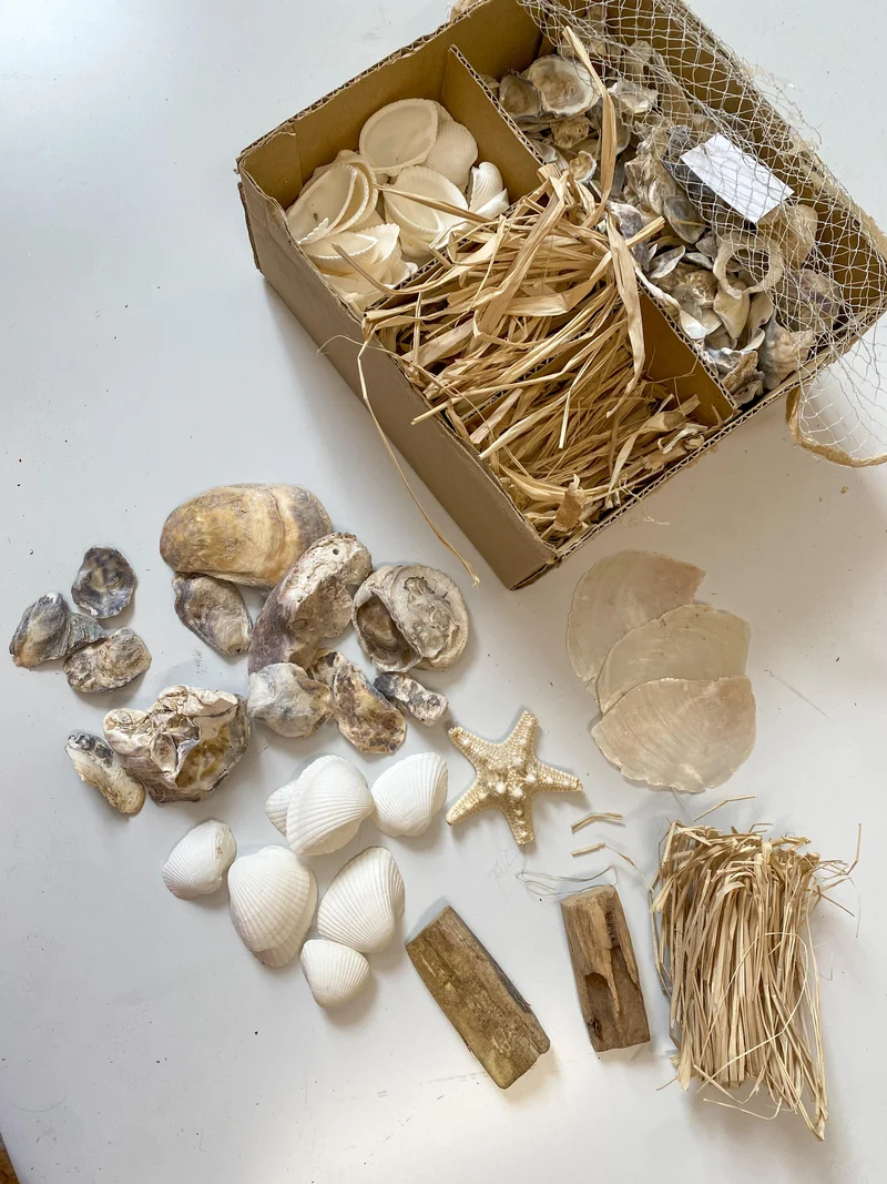 Shell mixbox 19x20x8cm natural