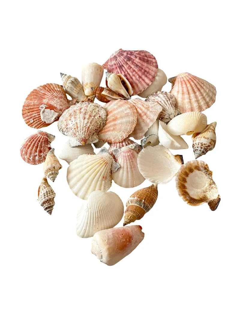Shell mix ''Large'' 1KG