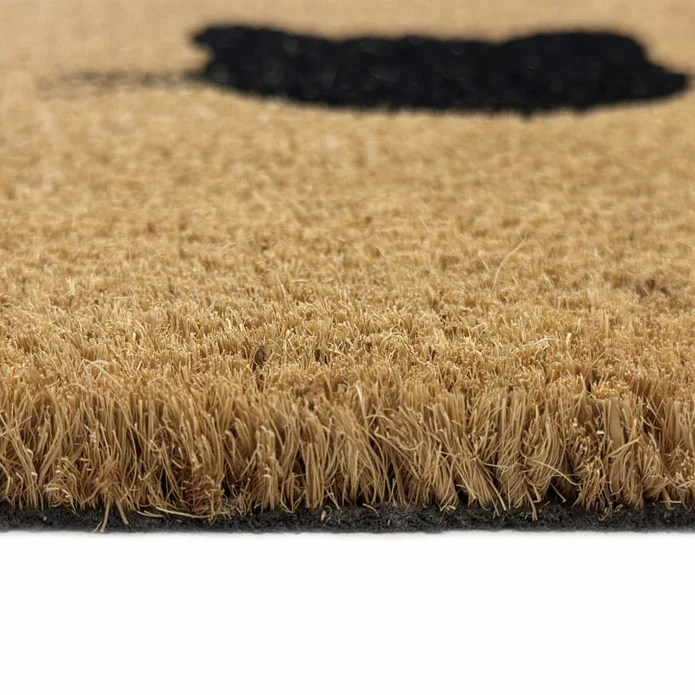 Kaşmir Halı Cat Home Coco Fußmatte 40x60 Cm