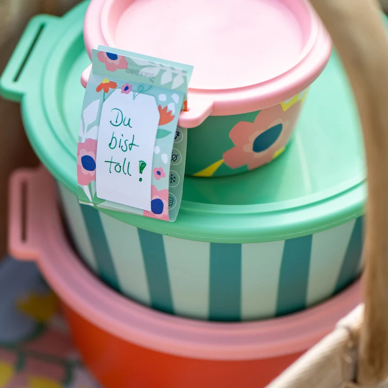 Schale mit Deckel NORA BOX 1,3l STRIPES