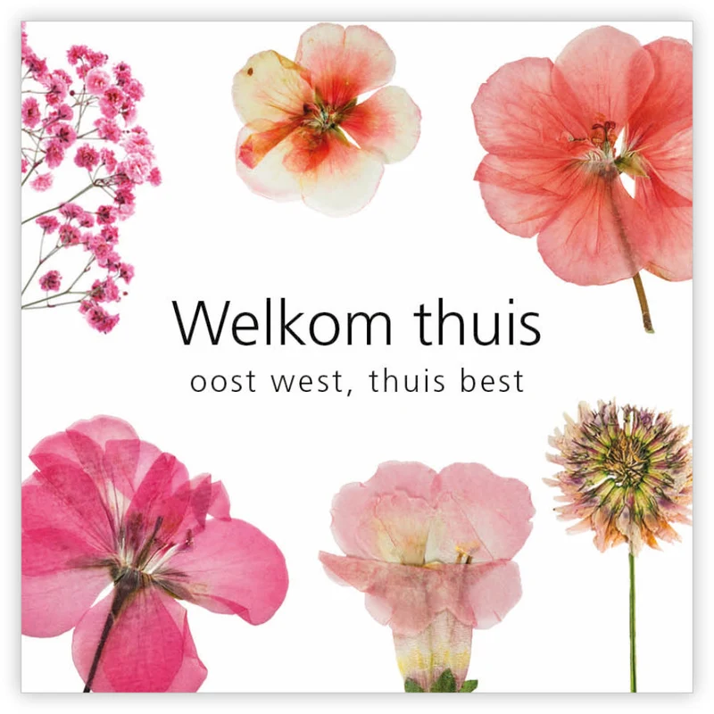Packung mit 12 Geschenkkarten Le Jardin Willkommen zuhause Ost, West, zu Hause ist es am besten
