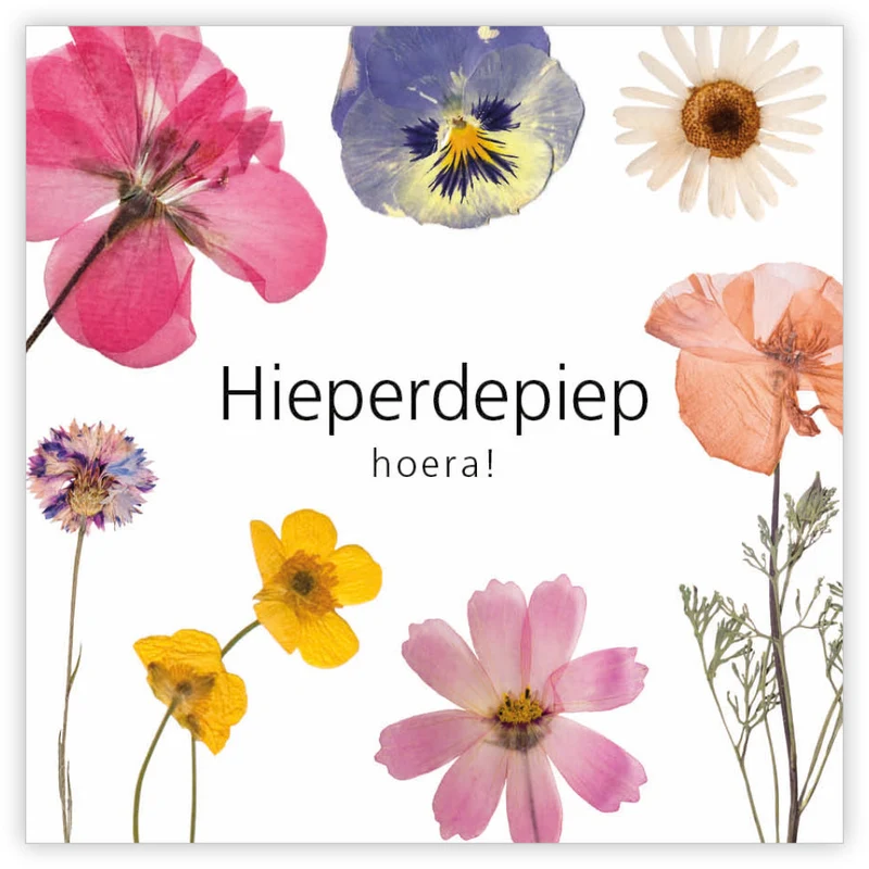 Päckchen à 12 Geschenkkarten Le Jardin Hoch soll(t) er leben!
