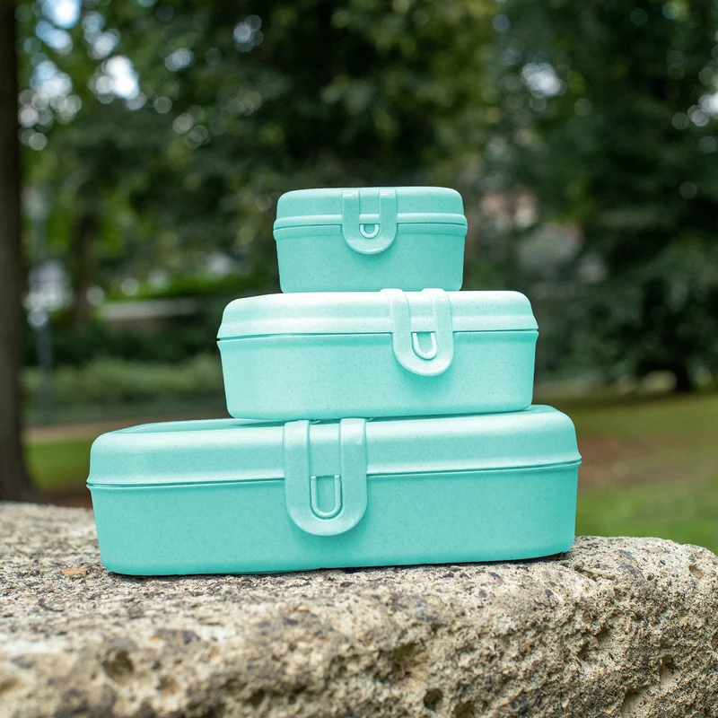 Lunchbox mit Trennsteg PASCAL L
