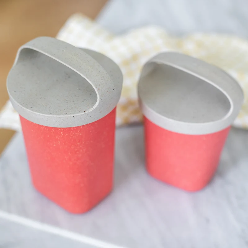 Snackpot mit Einsatz und Deckel BUDDY 0,7