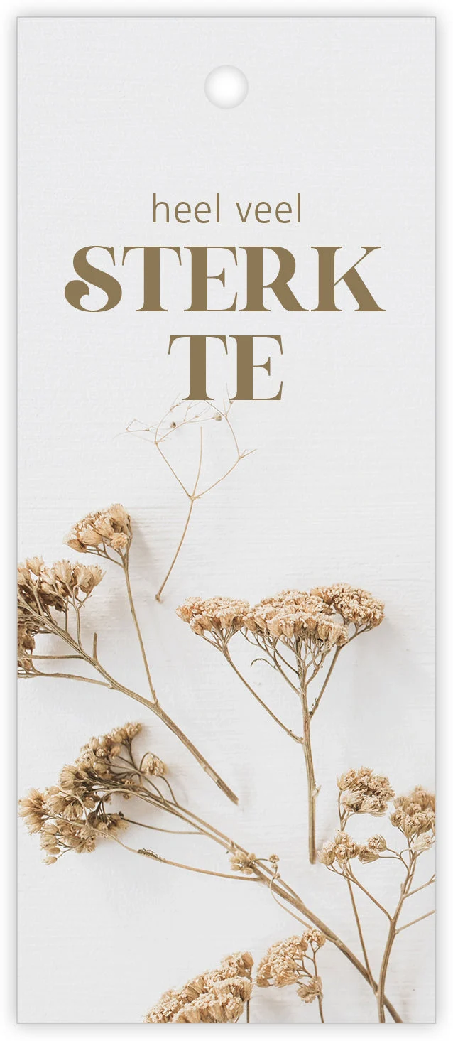 Packung à 12 Geschenkkarten Pampas Viel Glück