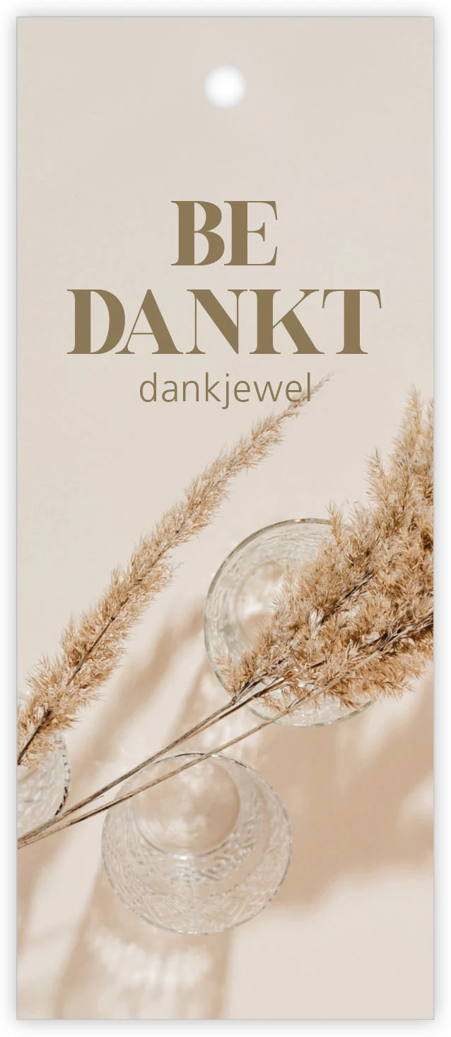 Packung mit 12 Geschenk-Kärtchen Pampas Danke