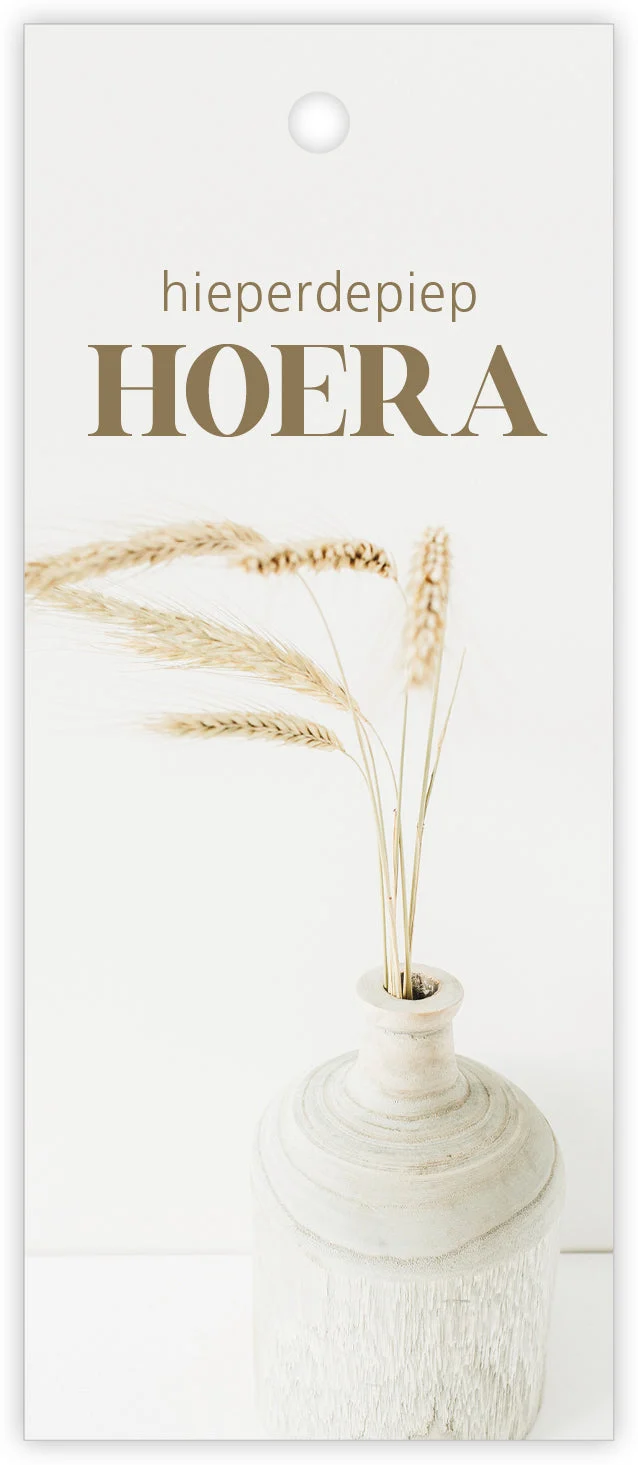Packung mit 12 Geschenkkarten Pampas Hipp Hipp Hurra