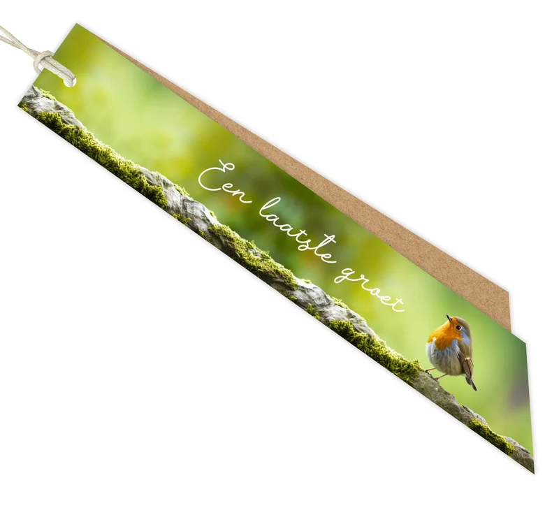 Packung à 12 Karten Kondolenz Kraft Botanic Ein letzter Gruß