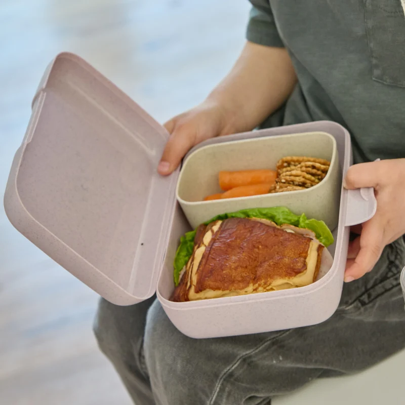 Lunchbox mit Trennschale CANDY L TRUCKS